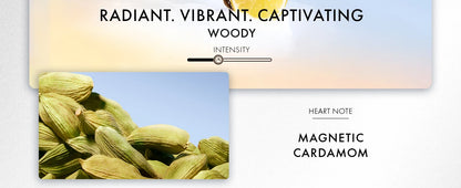 Azzaro Wanted Eau De Toilette - Vibrant & Irresistible Mens Cologne - Woody, Vetiver - Everyday Wear - Luxury Perfumes for Men