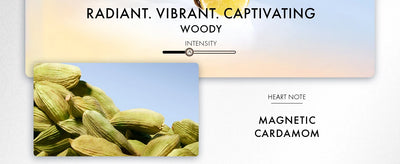 Azzaro Wanted Eau De Toilette - Vibrant & Irresistible Mens Cologne - Woody, Vetiver - Everyday Wear - Luxury Perfumes for Men