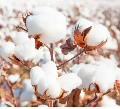 New Black Comic Solo Leveling Print Summer Men's Training Fitness Shorts Street Breathable Sweat-absorbing Double Shorts