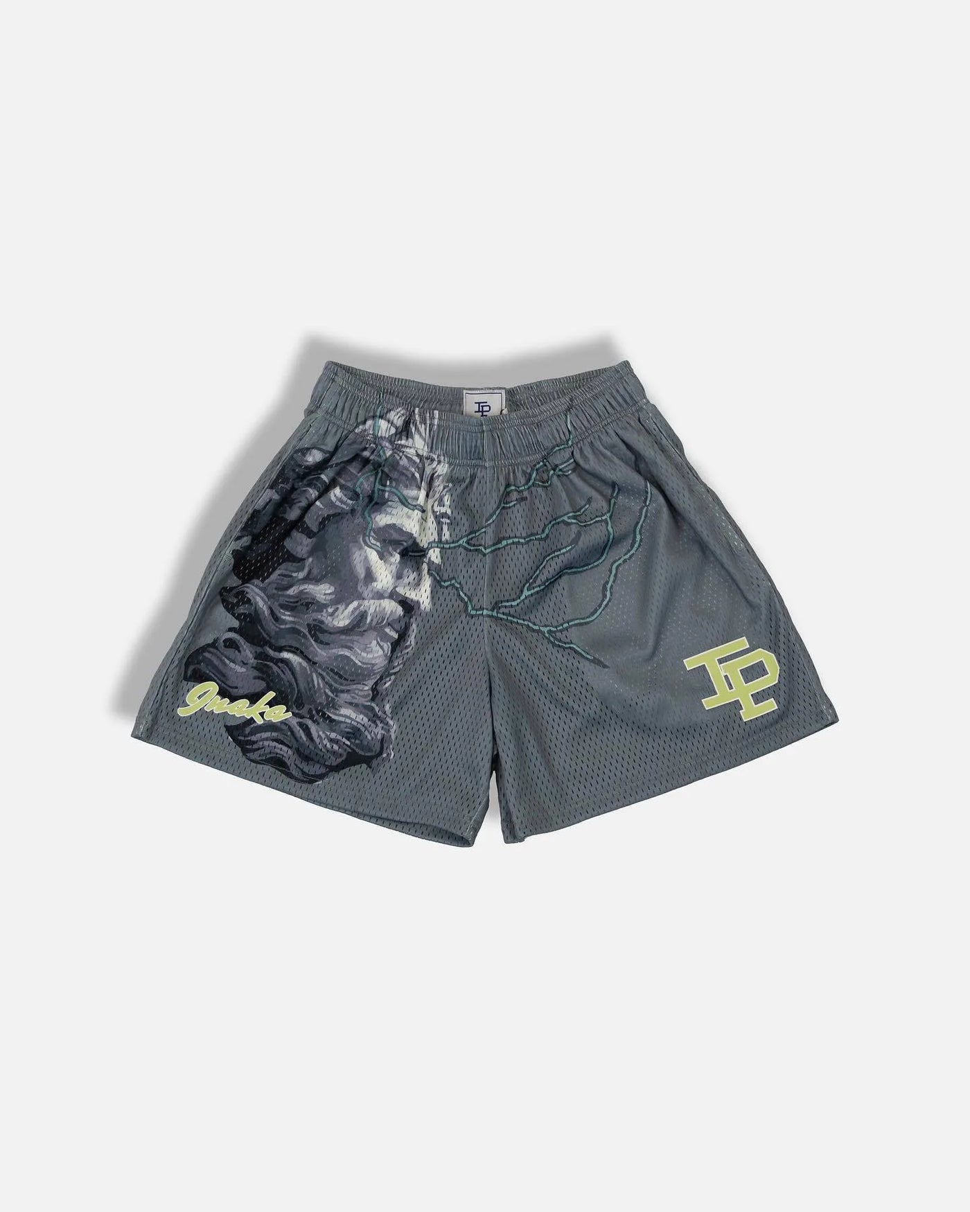 Mens Clothing IP Trend Casual Sports Shorts Gym Fitness Quick Dry Breathable Mesh Beach Basketball Jogger Short Pants Sweatpants