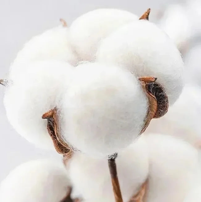 Remake Twin Peaks Basic Charcoal T Shirt Retro Style Classic Tee S-4XL Graphic Short Sleeve Shirt Unisex Men Women Summer