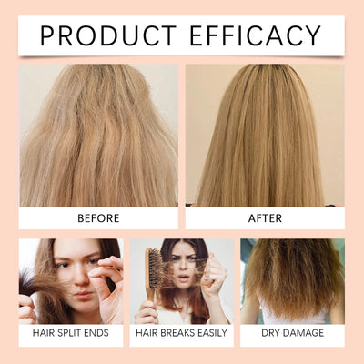 Hoegoa Coconut Hair Care Set Hydrating Curl Elasticity & Volumizing Shampoo/Conditioner,  Moisture-Rich Repair Treatment