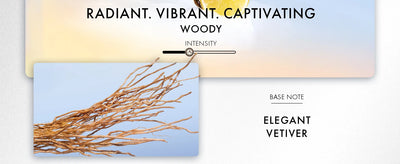 Azzaro Wanted Eau De Toilette - Vibrant & Irresistible Mens Cologne - Woody, Vetiver - Everyday Wear - Luxury Perfumes for Men