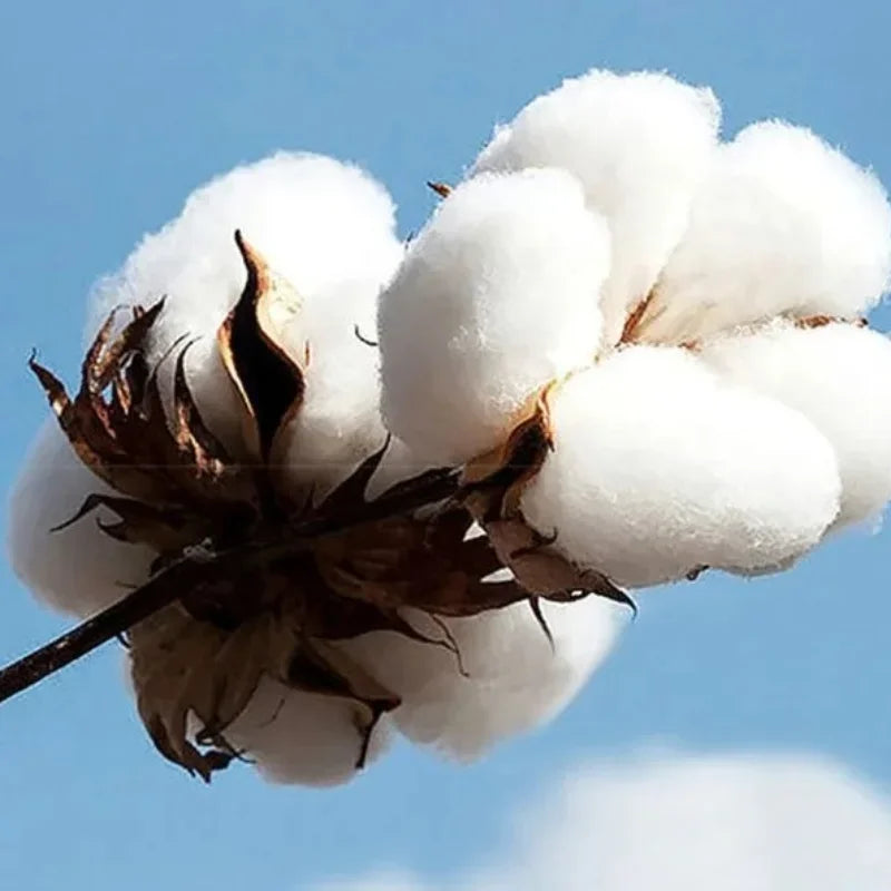 2025 GNX Album Printed Hoodie Kendrick Lamar Rapper Rock Style Men's Sweatshirt Street Long-sleeved Cotton Hooded Pullover