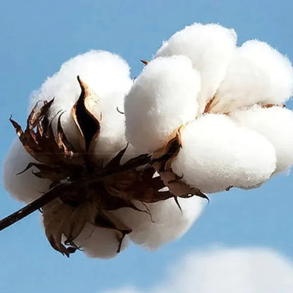 2025 GNX Album Printed Hoodie Kendrick Lamar Rapper Rock Style Men's Sweatshirt Street Long-sleeved Cotton Hooded Pullover